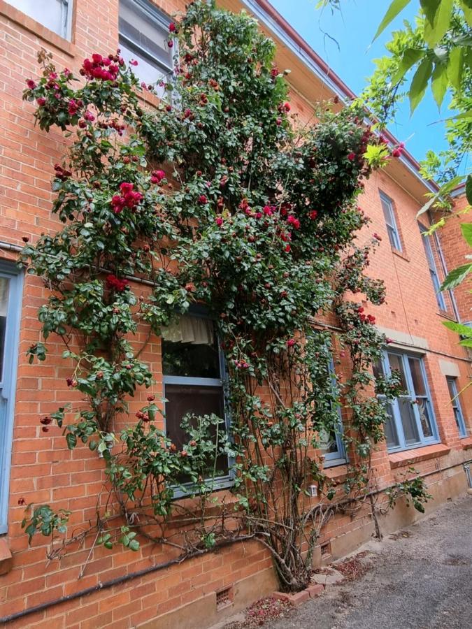 La Cochon Rose Motel Saint Arnaud Buitenkant foto